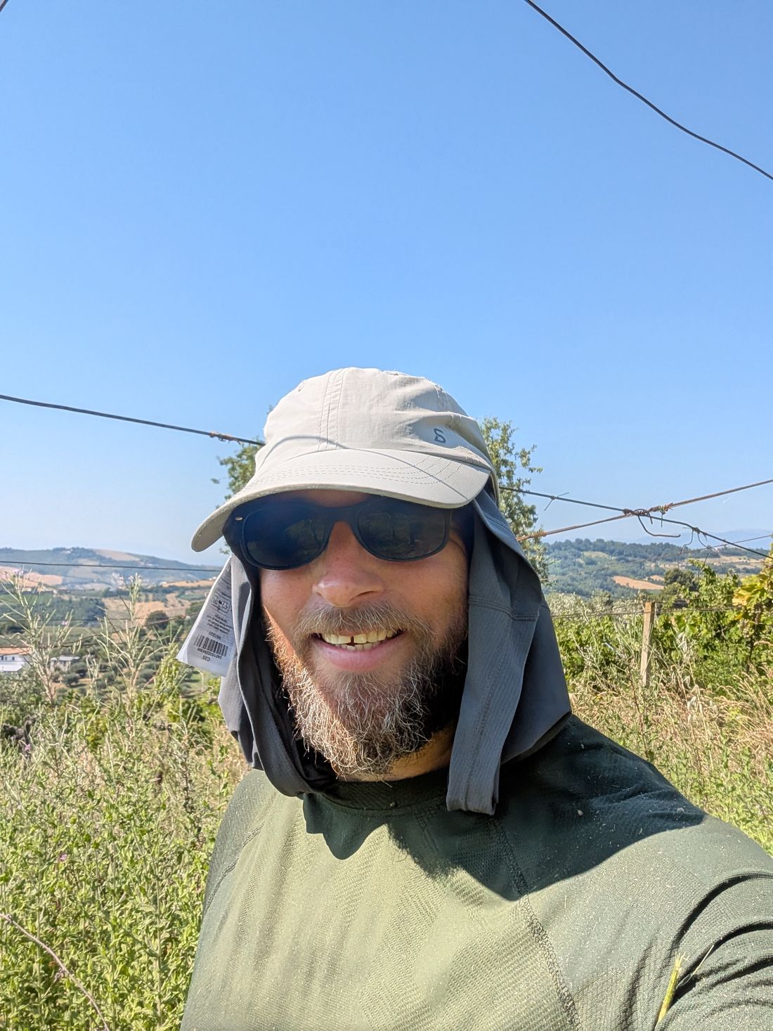 David in the vineyard at Contrada Cona in a wide-brimmed sun hat, the Abruzzo hills behind him