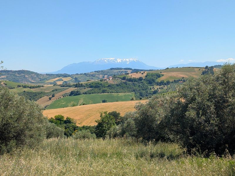 Rolling Abruzzo hills, olive groves and vineyards seen from the estate